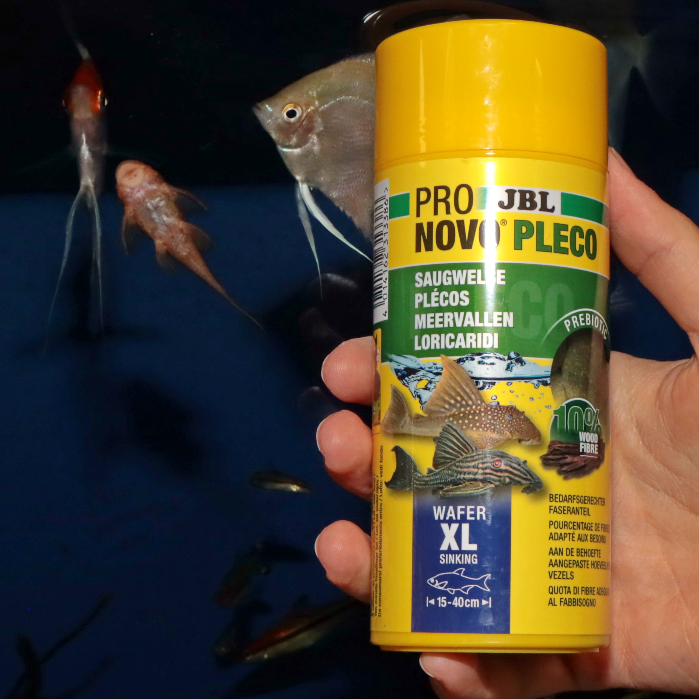 JBL Hauptfutter JBL PRONOVO PLECO WAFER Futtertabletten für herbivore Saugwelse M 250 ml