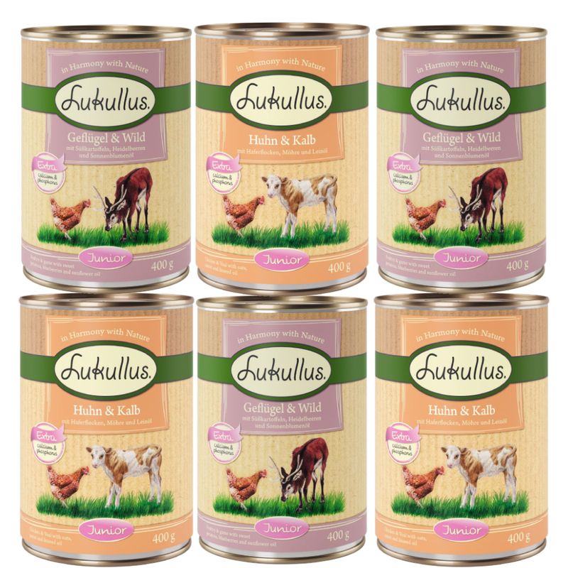 Probierpaket Lukullus Naturkost Junior zu TOP-Preisen | bitiba %
