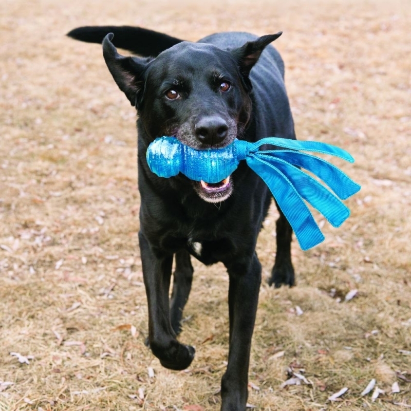 KONG Frisbees & Wurfspielzeug KONG Wubba Comet