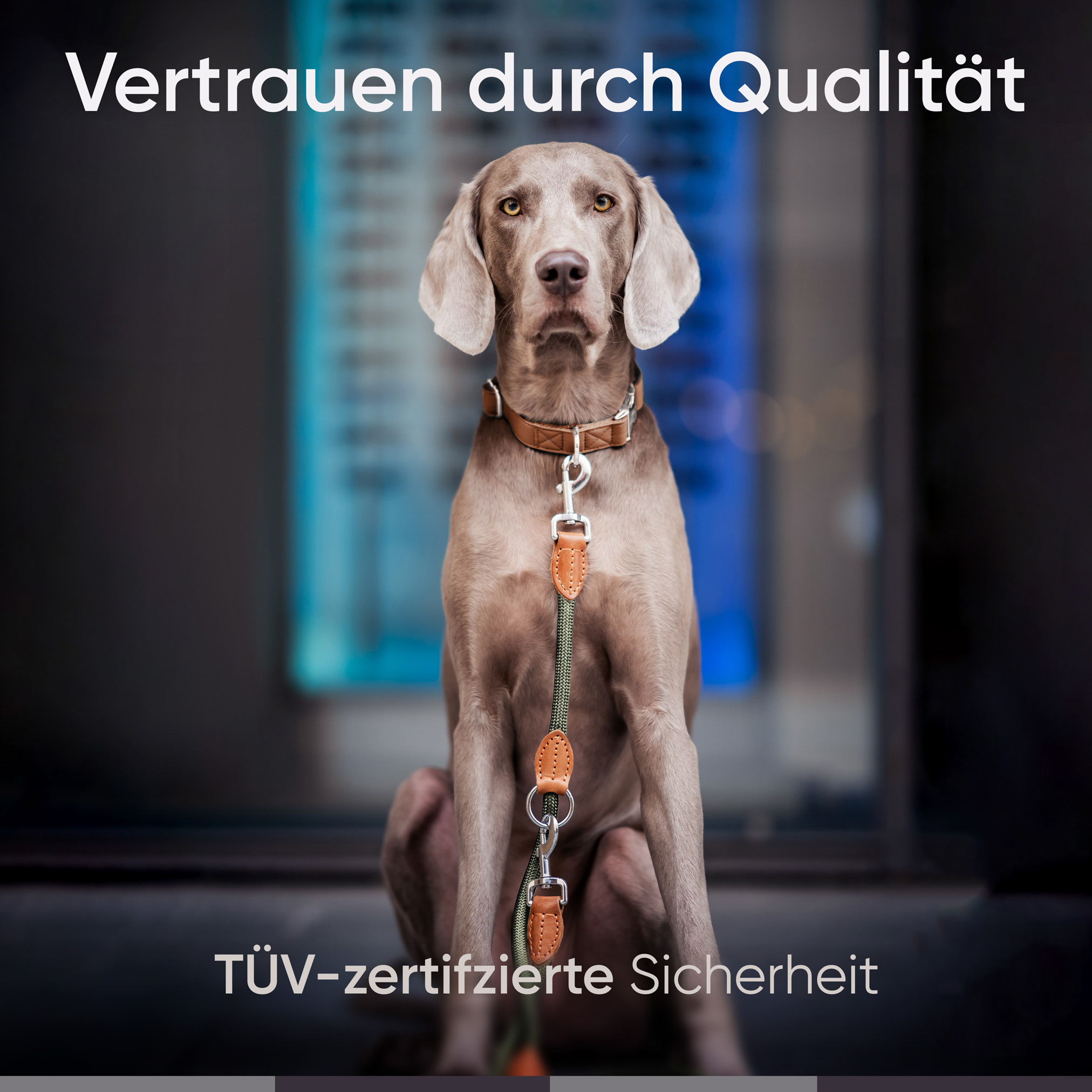 Freudentier Hundeleinen Freudentier runde Hundeleine 2m, 3-fach verstellbar