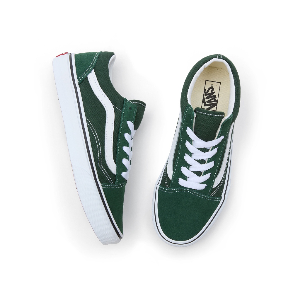 Vans Old Skool VN0A5EE6BD61 / grün