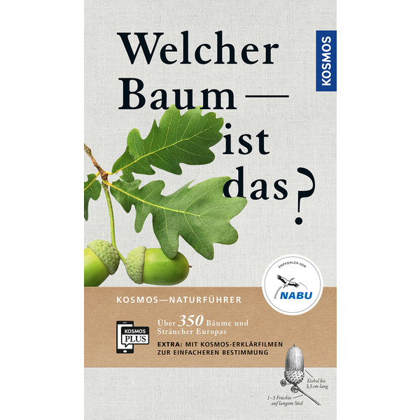 Welcher Baum ist das? - Ratgeber