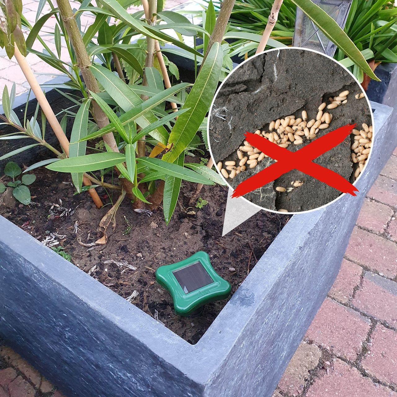 Tevigo Gardigo Solar Ameisenabwehr