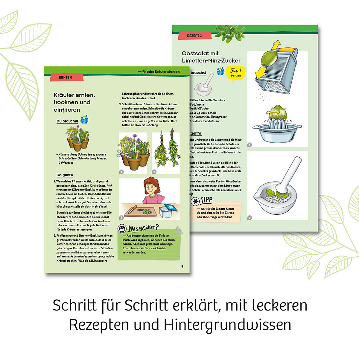 Kräutergarten