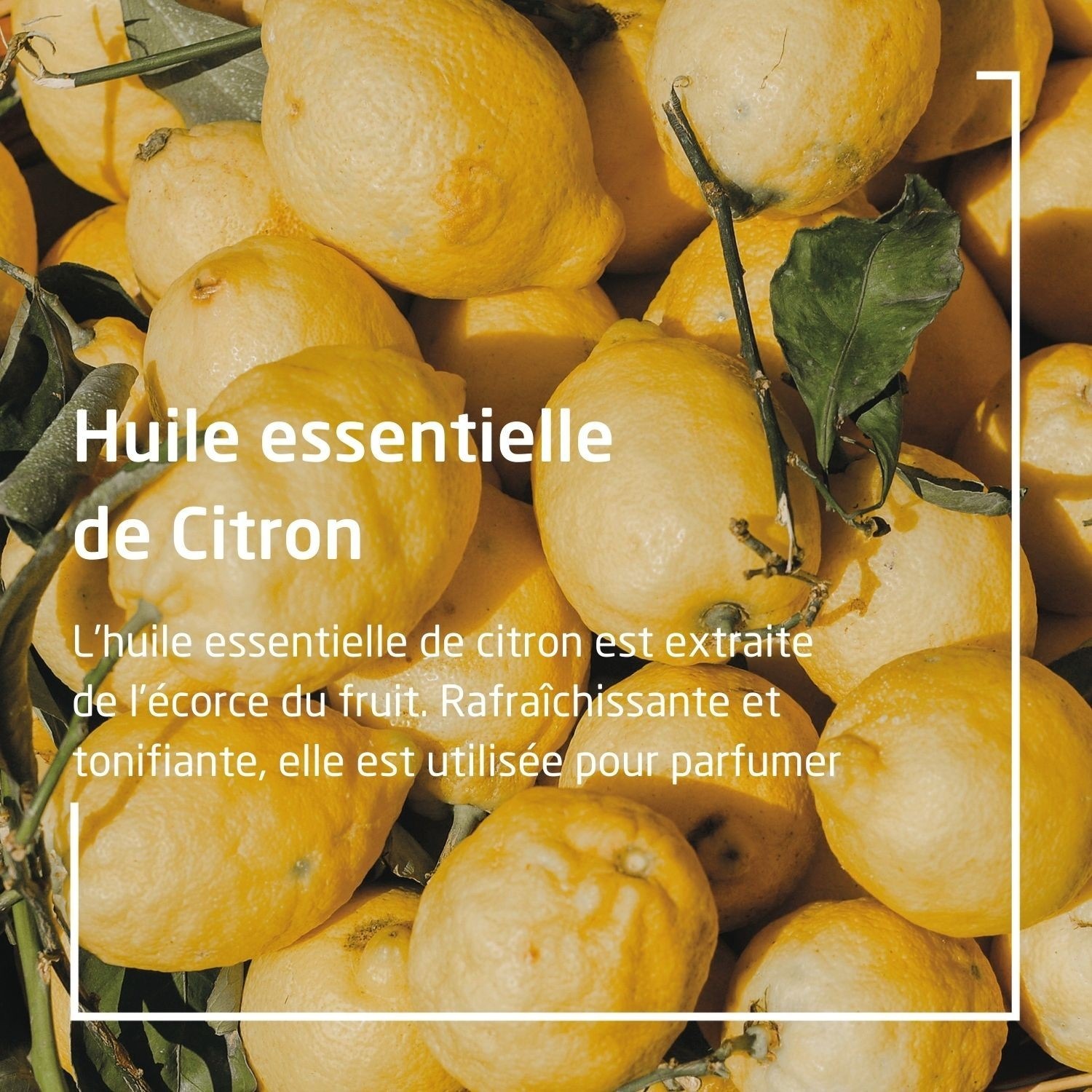 Weleda Citrus 24H hidratantni losion za tijelo - 200 ml