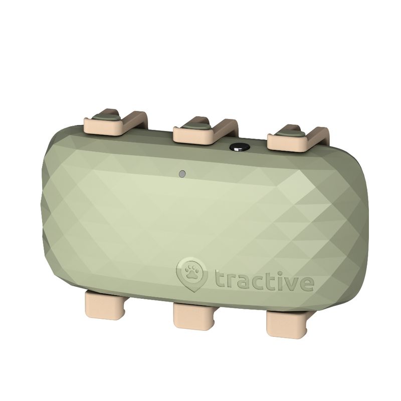 Tractive GPS Tracker XL für Hunde zu TOP-Preisen