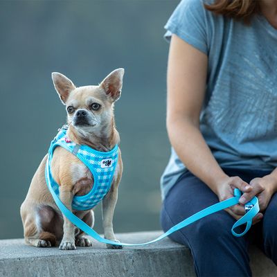 Curli Vest Geschirr Air-Mesh & Basic Leine - skyblue Caro