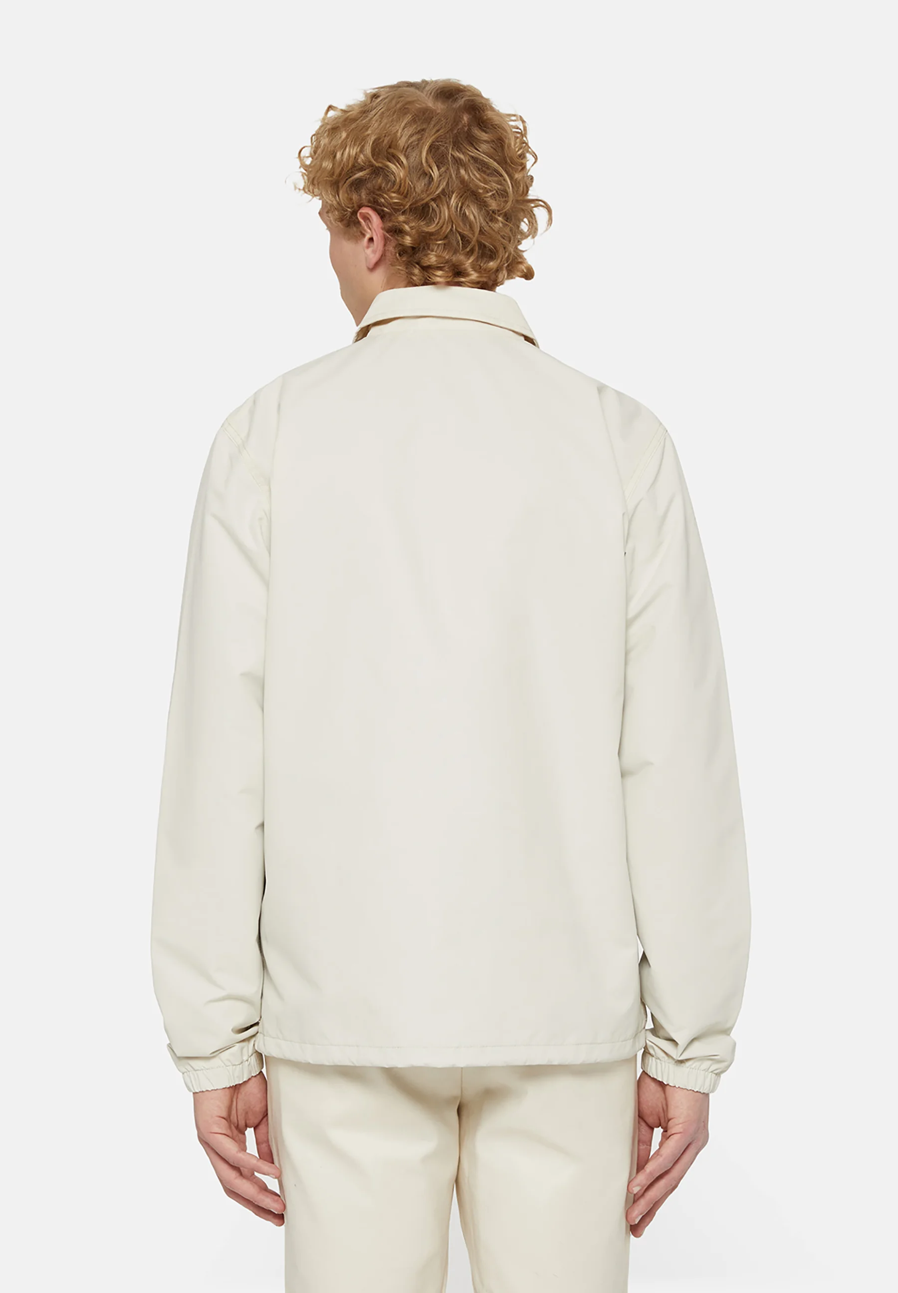 Dickies OAKPORT COACH - Chaqueta ligera