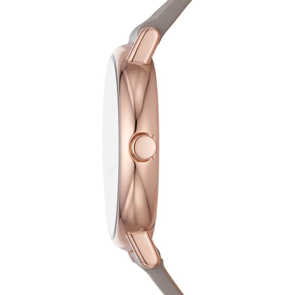 Skagen Montre pour femme Acier inoxydable Montre