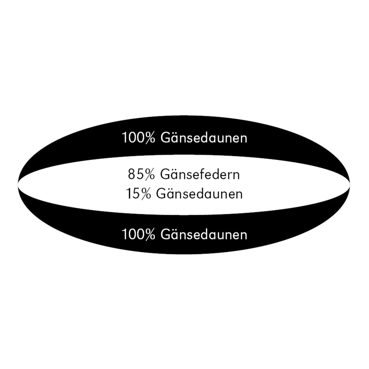 Federkopfkissen Exclusive Light 3-Kammer-Kopfkissen, Blank Home