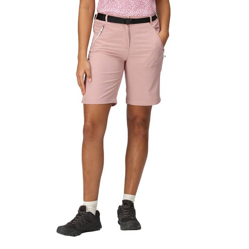Regatta Xert It Shorts Damen