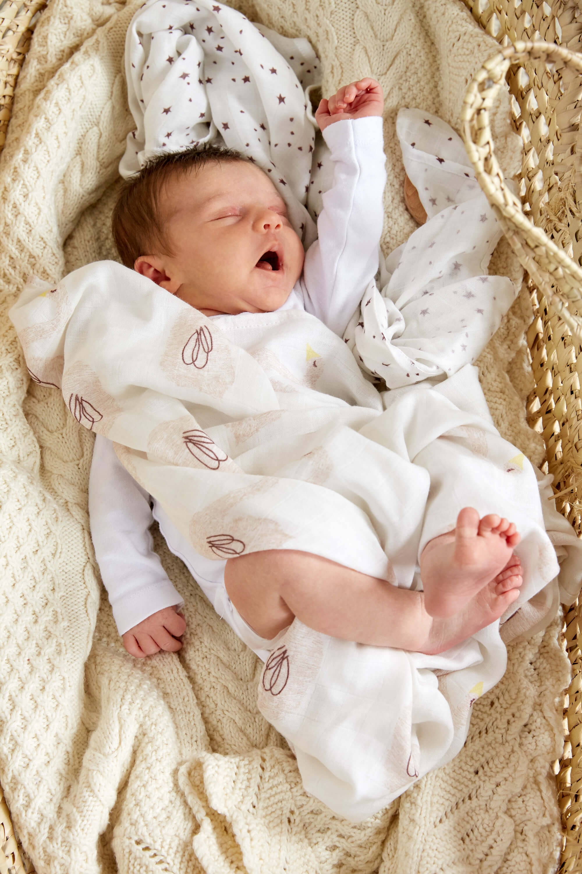 Mulltücher (2 Stk) - Heavenly Soft Swaddle XL, Little Water Swan