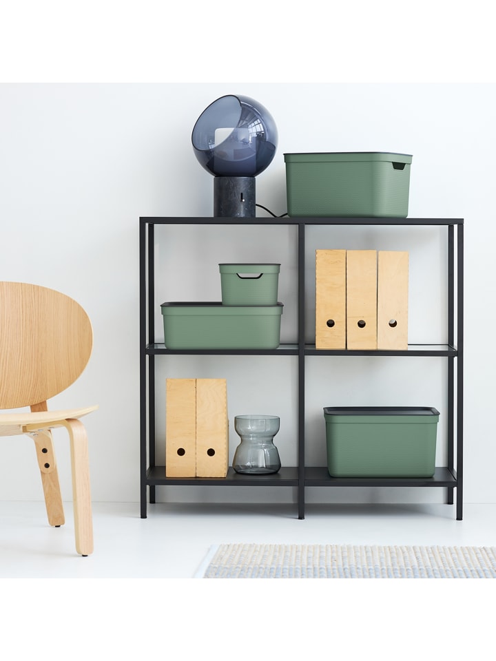 Rotho 3er Set Aufbewahrungsbox mit Deckel 10L JIVE in Reseda green ged. günstig kaufen onesize