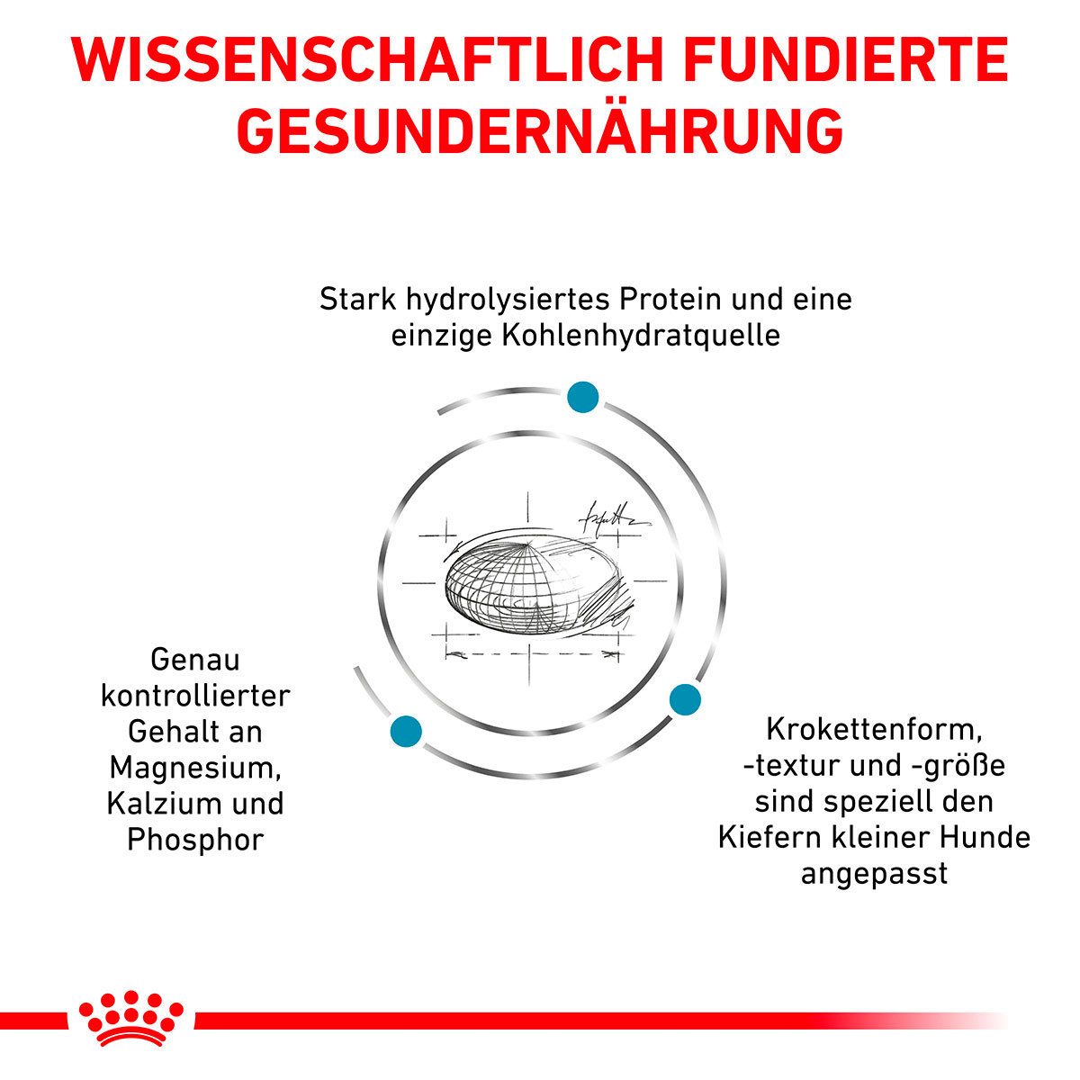 ROYAL CANIN Veterinary HYPOALLERGENIC SMALL DOGS Trockenfutter für Hunde