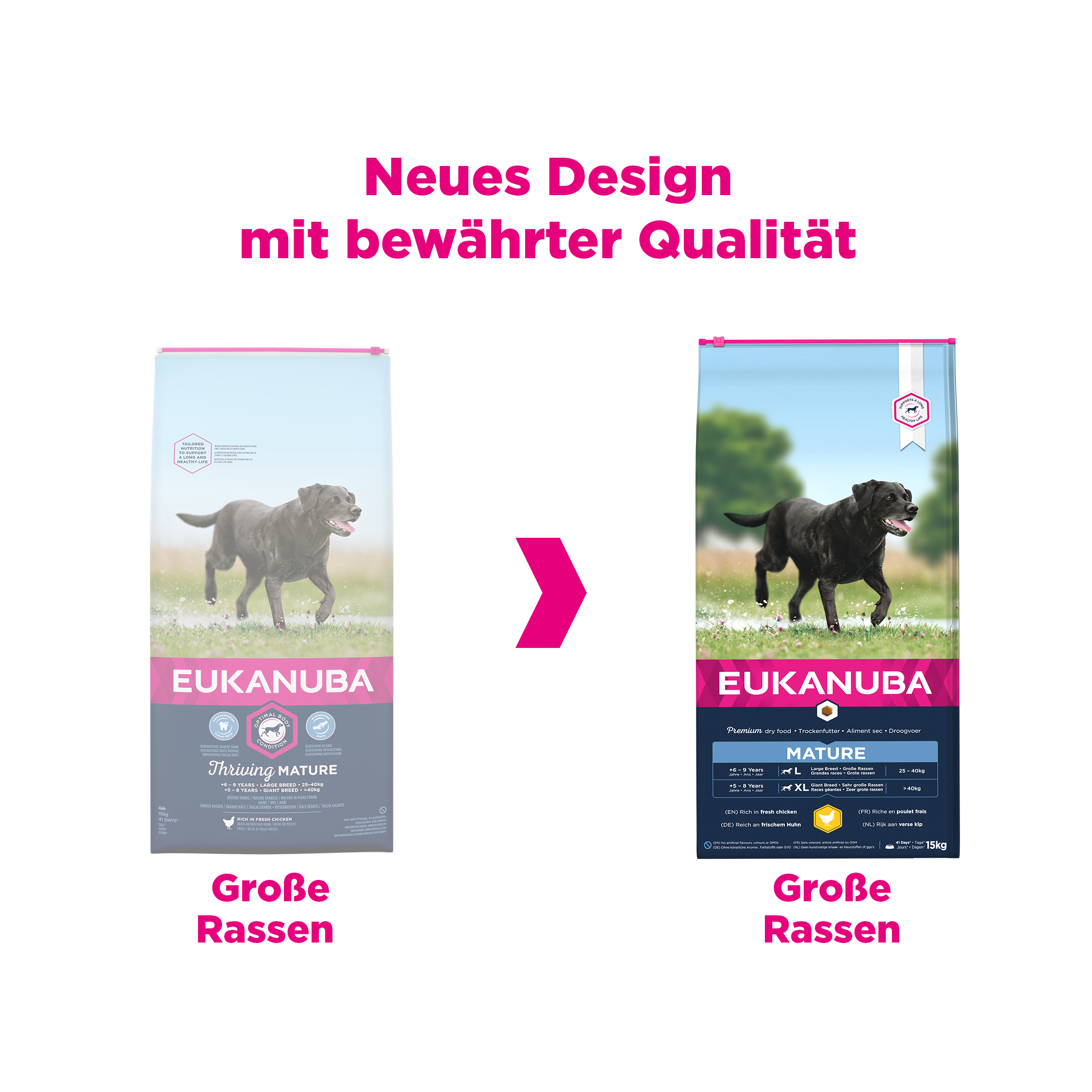 EUKANUBA Hundetrockenfutter EUKANUBA Mature & Senior Large Breed 15kg