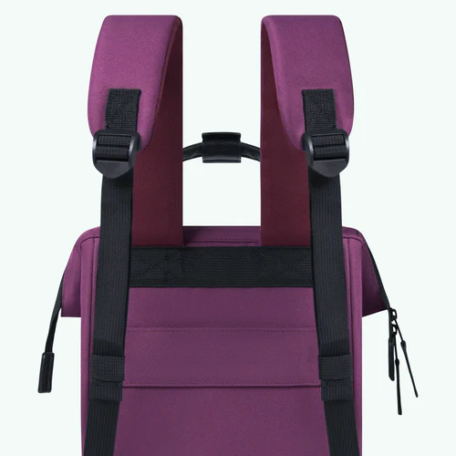 Adventurer Small Backpack Singapore Purple