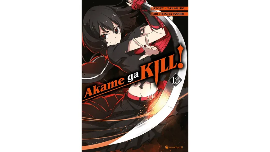 Akame ga KILL! 13