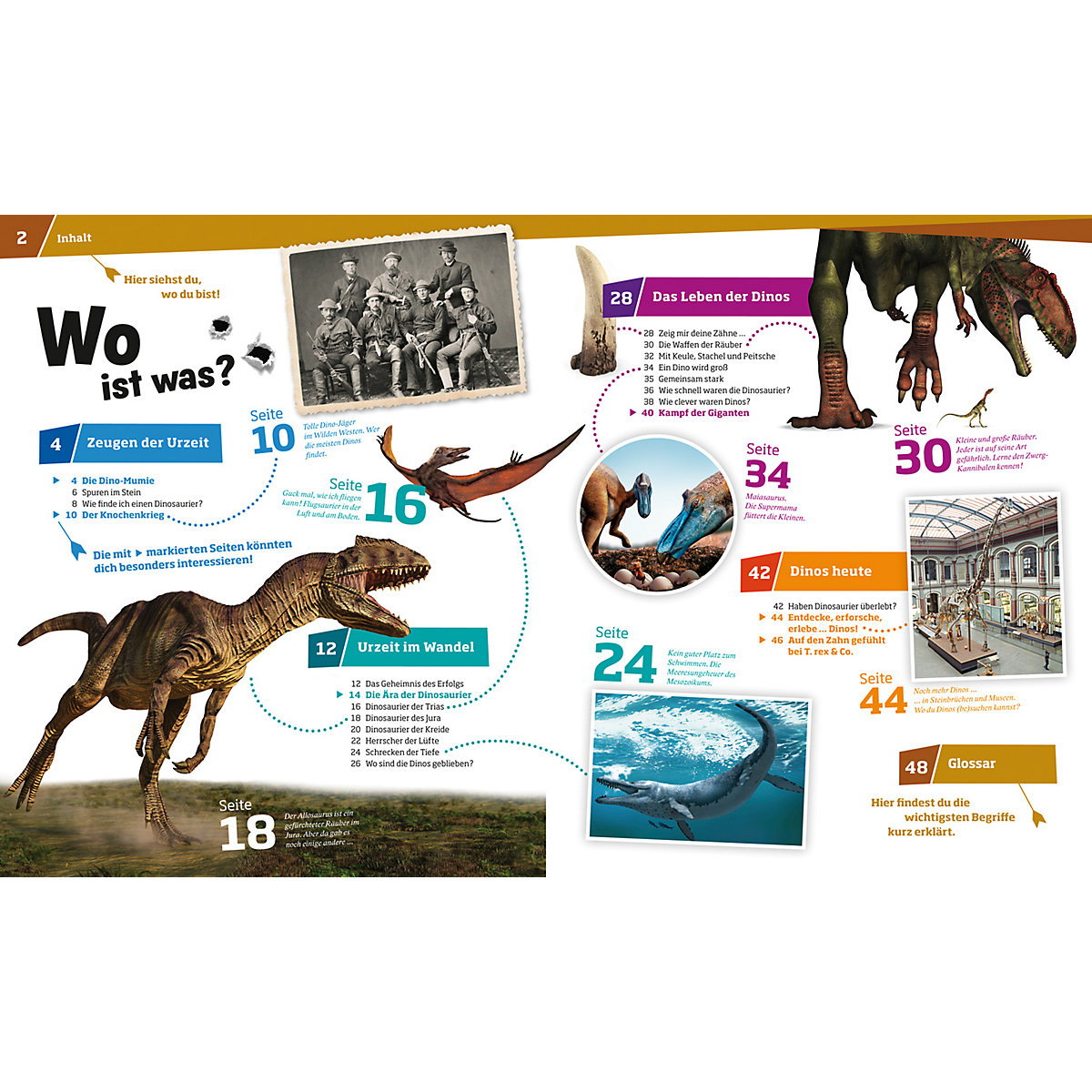 WAS IST WAS Dinosaurier, Band 15