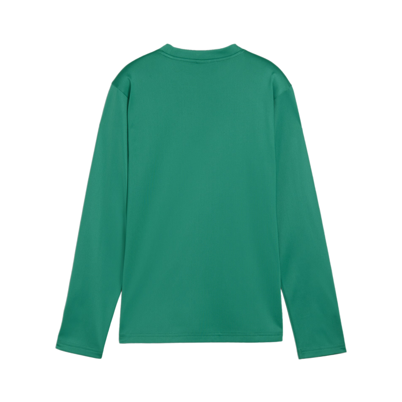PUMA teamGOAL Training Sweatshirt Kids Grün F05