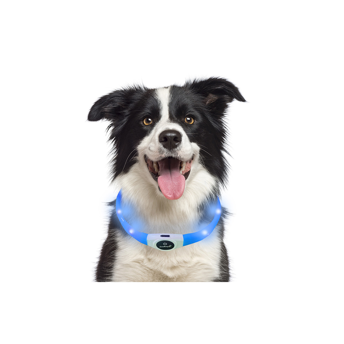 ZooRoyal LED Leuchthalsband USB Langhaar kaufen