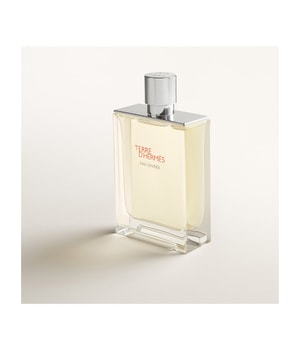 HERMÈS Terre d'Hermès Eau Givrée Eau de Parfum-175 ml