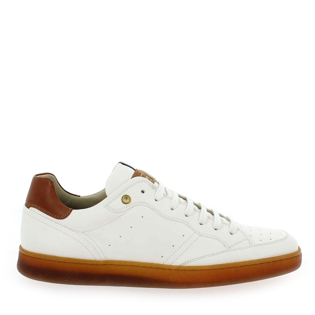 Corvari  1424 - Blanc