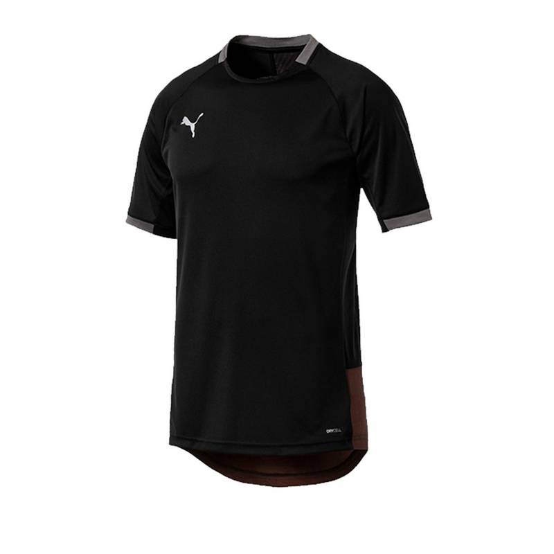 PUMA ftblNXT Pro T-Shirt Funktionsshirt Herren