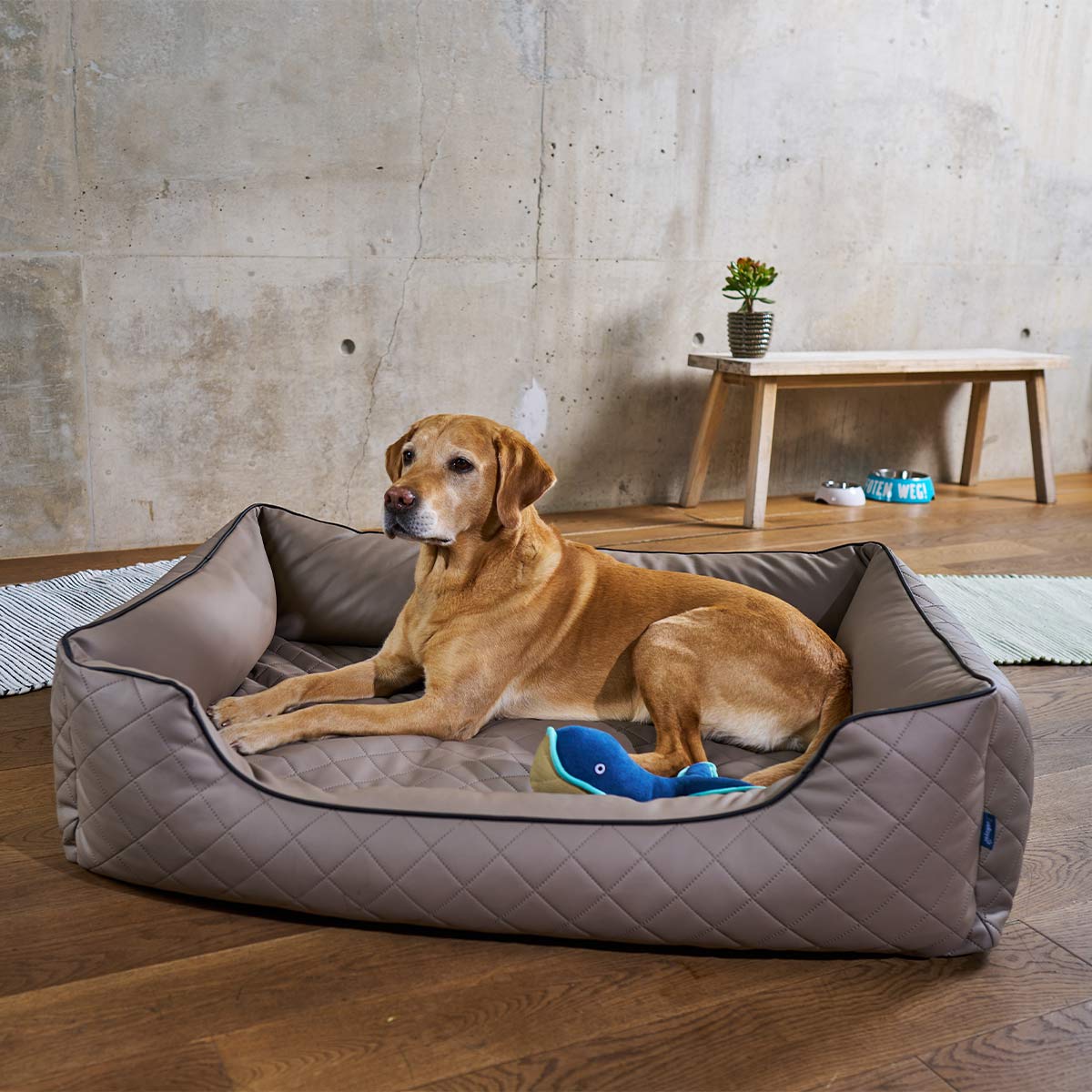 ZooRoyal orthopädisches Hundebett Madson kaufen