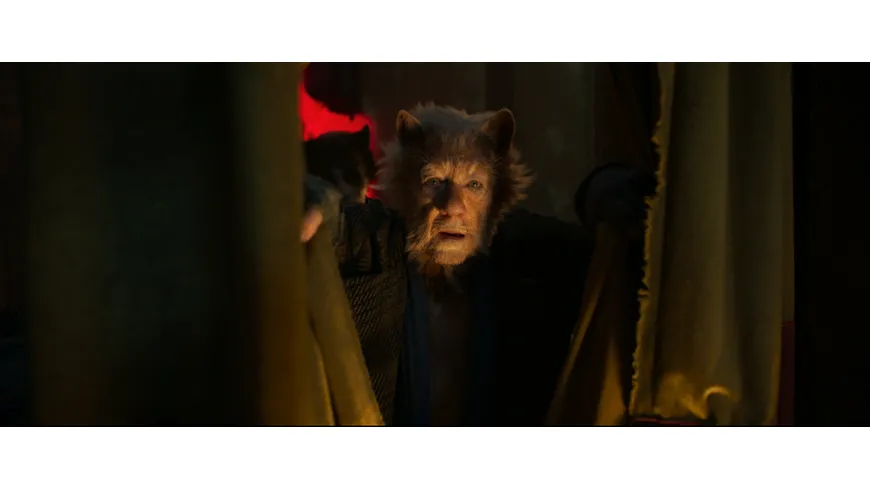 Cats