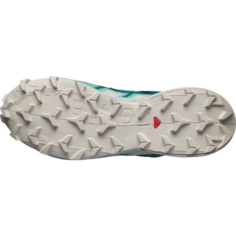 Salomon SPEEDCROSS 6 Laufschuhe Herren