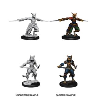 Female Tabaxi: Nolzurs Marvelous Unpainted Miniatures