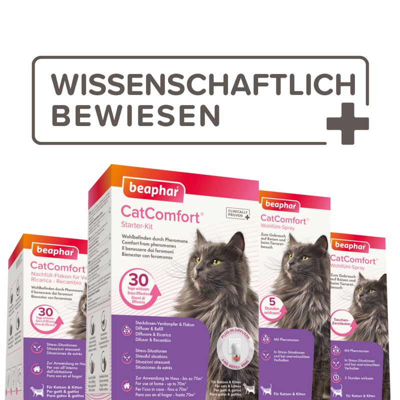 Beaphar CatComfort Excellence zu TOP-Preisen
