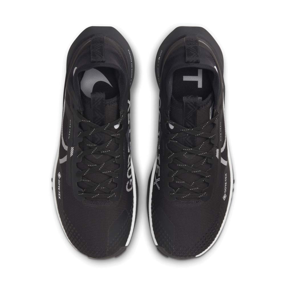Nike React Pegasus Trail 4 GORE TEX DJ7929-001 / schwarz