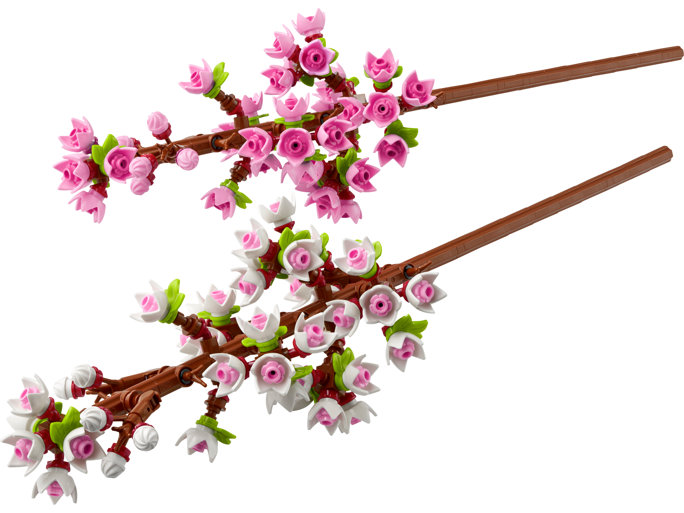 Kirschblüten 40725