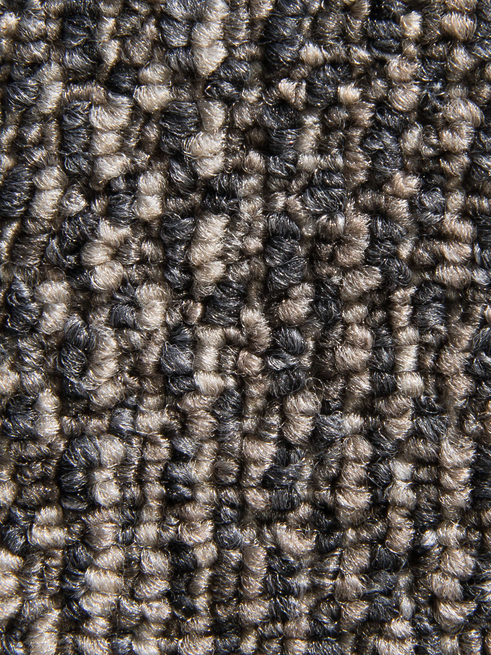 Quantum Teppichbodenfliese, Graubeige
