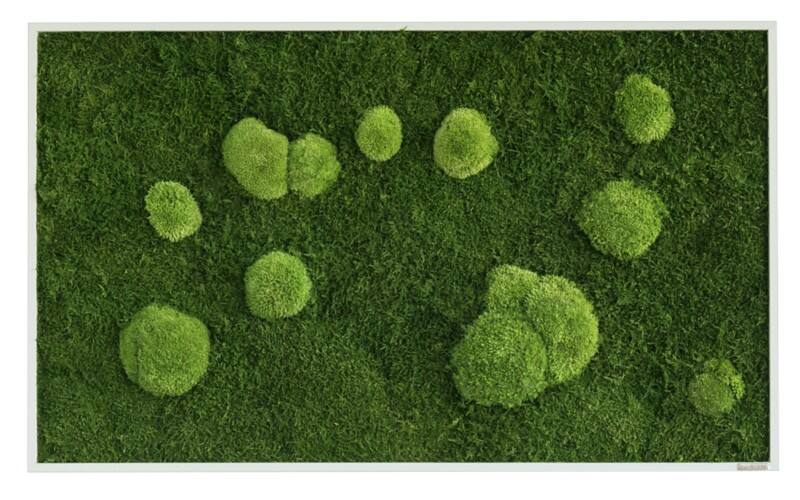 Best of GREEN Moos-Wand 100 x 60 cm schwarzer Rahmen