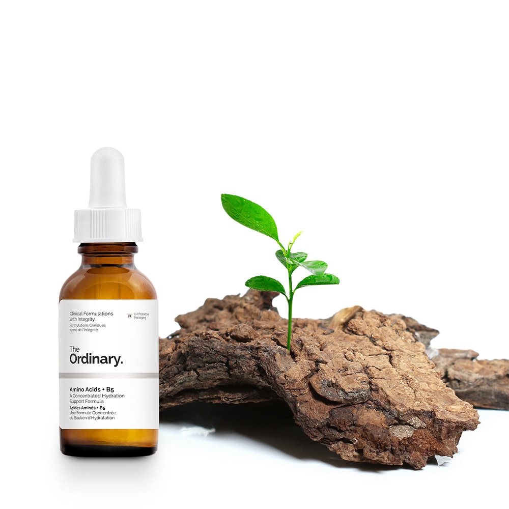The Ordinary Acides Aminés + B5 Sérum Hydratant