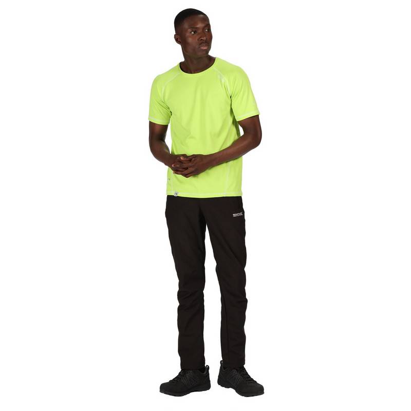 Regatta Geo II Wanderhose Herren