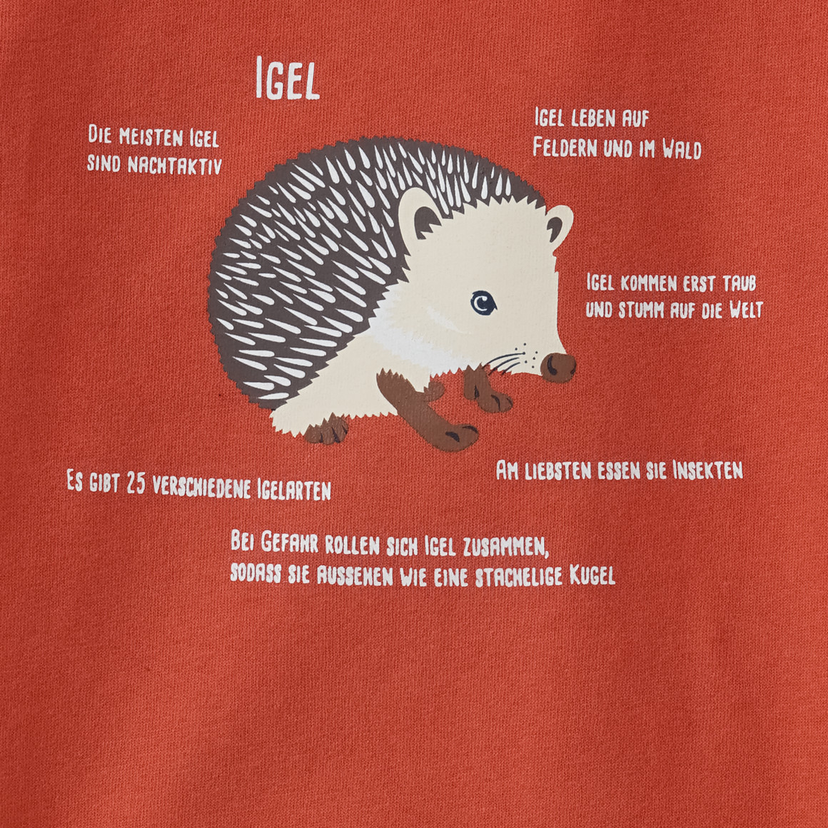 Kinder Sweatshirt mit Igel-Motiv