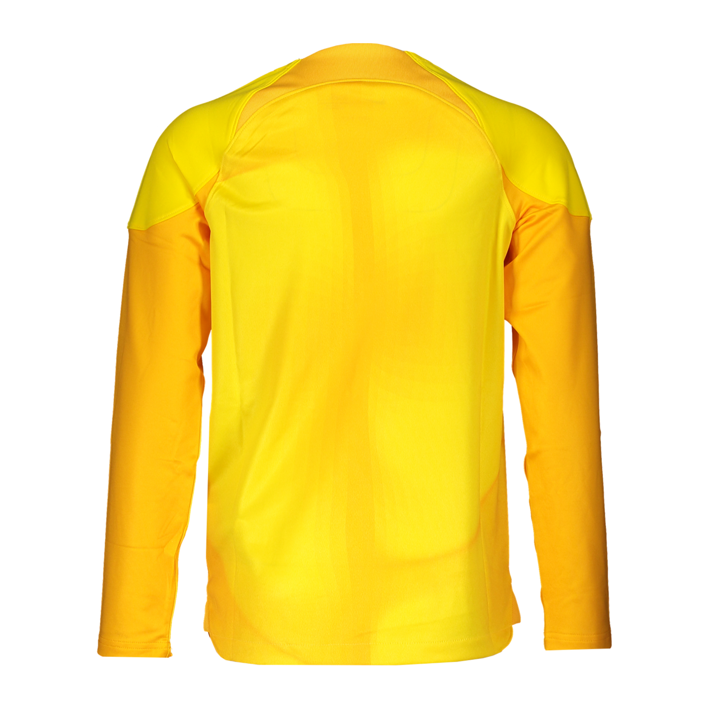 Nike Gardien IV Torwarttrikot langarm Kids F719