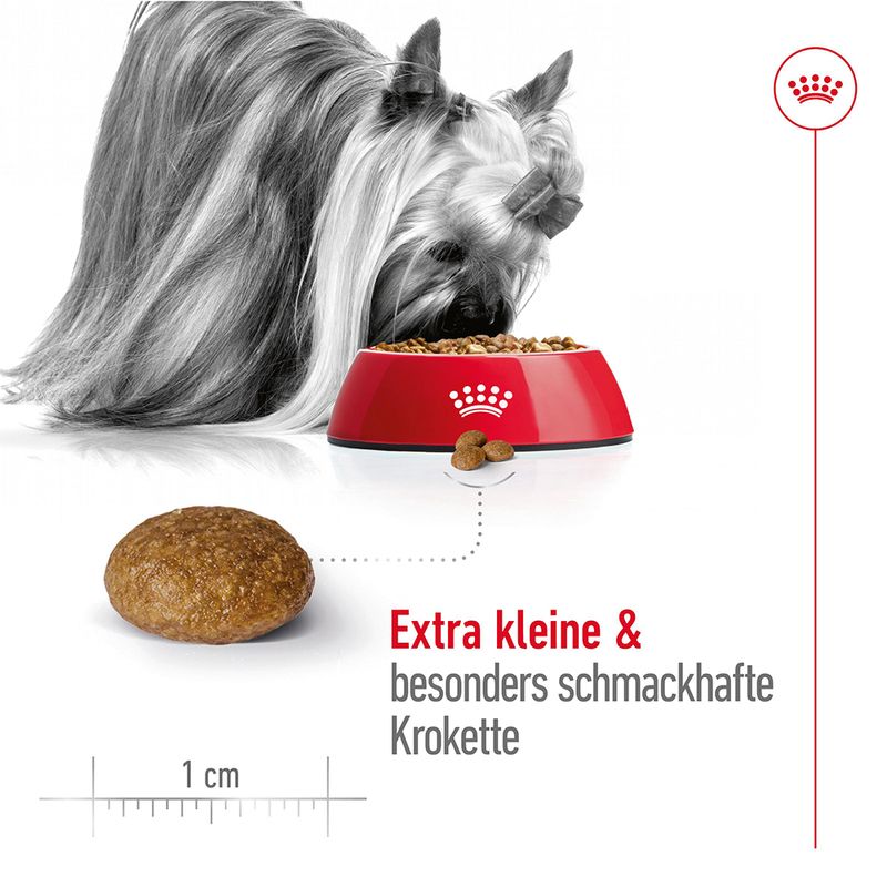 Royal Canin X-Small Adult 8 + zu TOP-Preisen