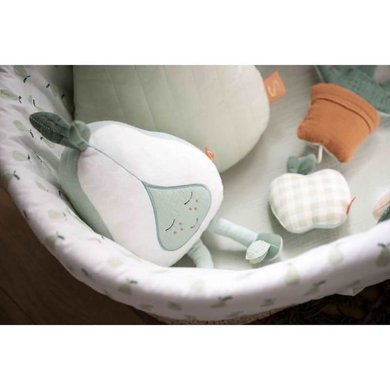 Doudou poire Botanica