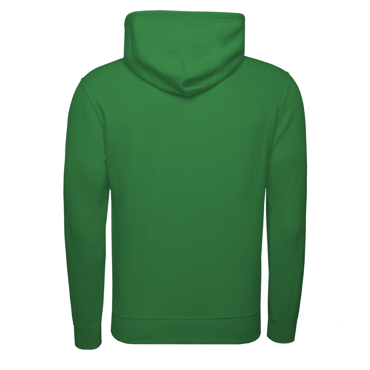 Champion Hooded Kapuzenpullover gruen