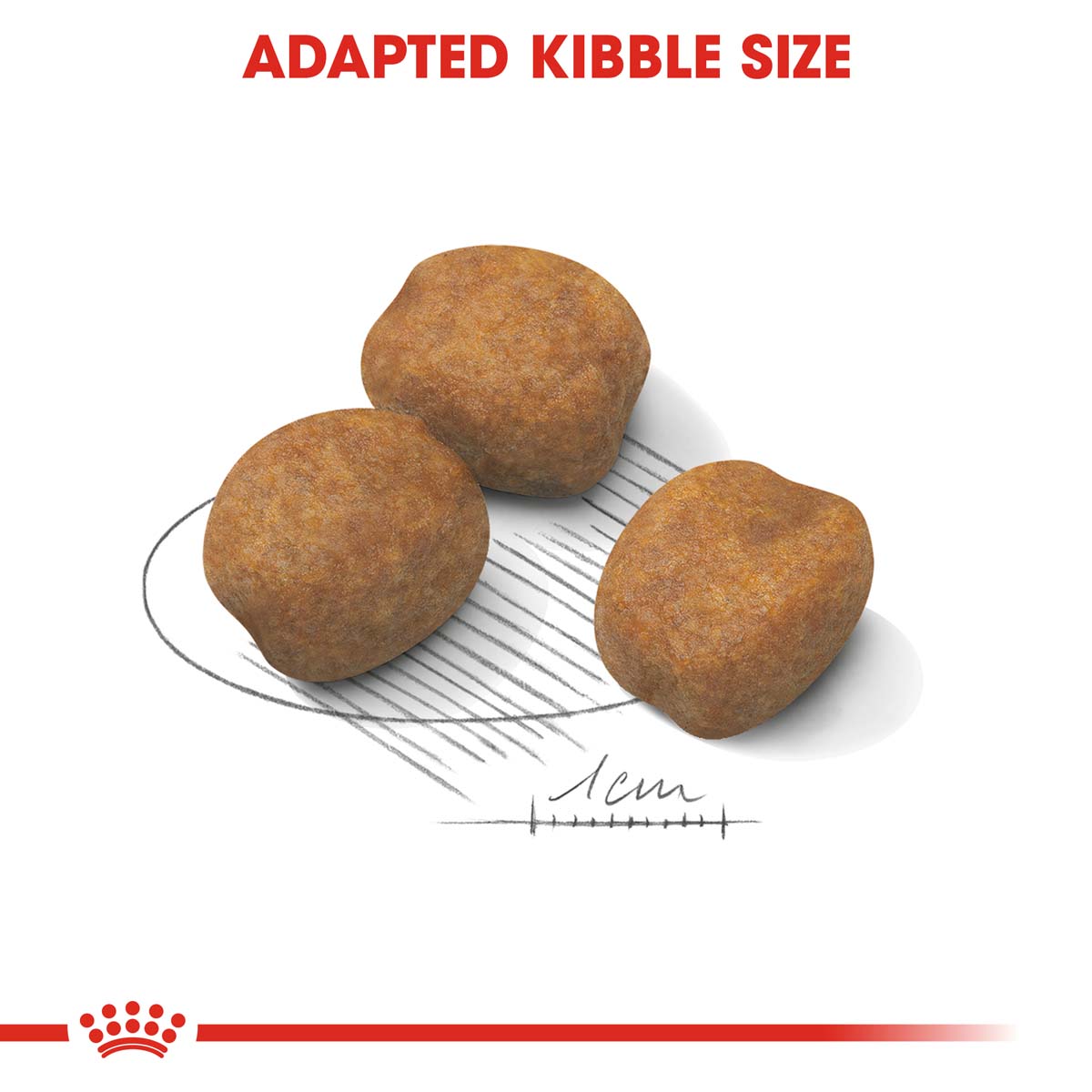 ROYAL CANIN Giant Puppy 3,5kg + Maxi Puppy in Soße 10x140g