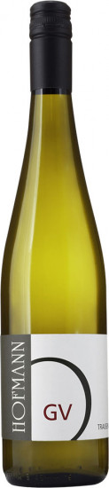 2022 Grüner Veltliner Oberndorf Traisental DAC trocken Bio - Weingut Rudolf Hofmann