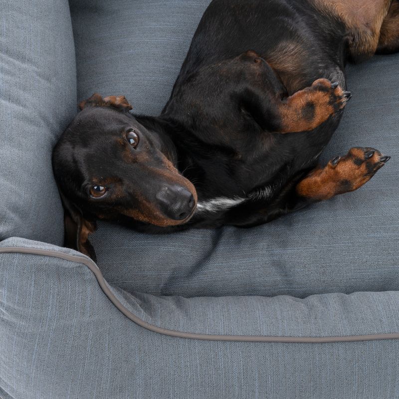 Modern Living Hundebett Skara, dunkelgrau zu TOP-Preisen | bitiba