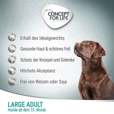 Concept for Life Large Adult