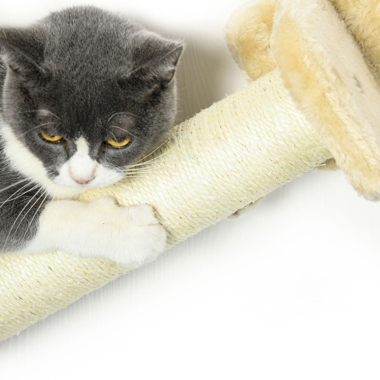 PawHut Katzentreppen-Set 2 Kratzstämme 2 Plattformen mit Plüsch Hängematte Beige