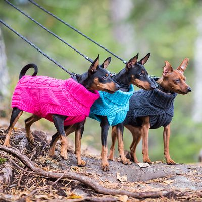 Rukka® Hundepullover Wooly, himbeer