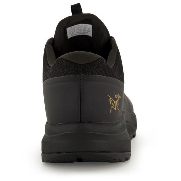 Arc'teryx - Aerios FL 2 GTX - Multisportschuhe